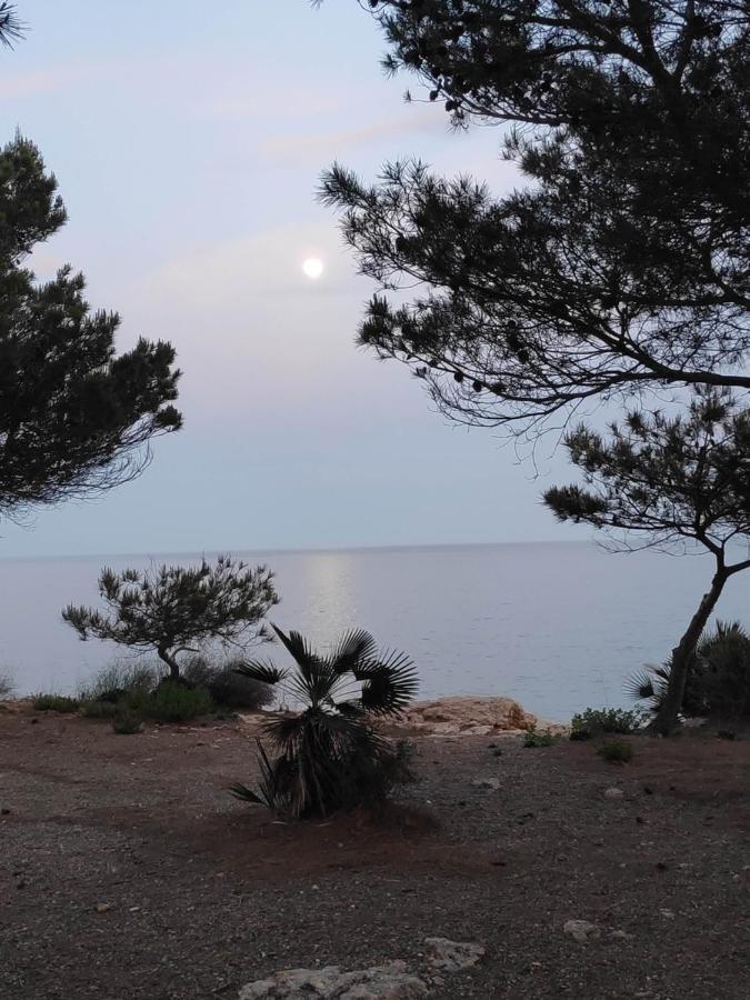 Rincon De Mar Lejlighed Calafat Eksteriør billede